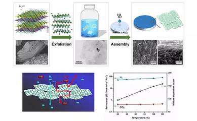 中科院大連化物所楊維慎研究員團(tuán)隊在二維金屬有機(jī)骨架分離膜研究中取得重要新進(jìn)展